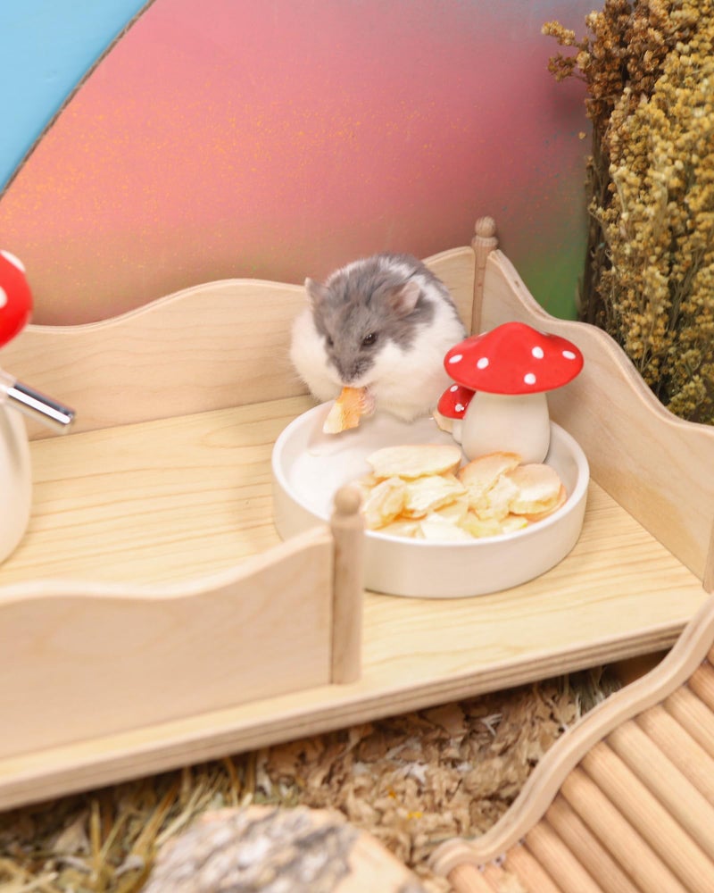 Niteangel Hamster Snack & Treats Toy - Small Animal Natural Treat for Dwarf Syrian Robo Hamsters Gerbils Mice Lemmings Degus or Other Small-Sized Pets - Image 3