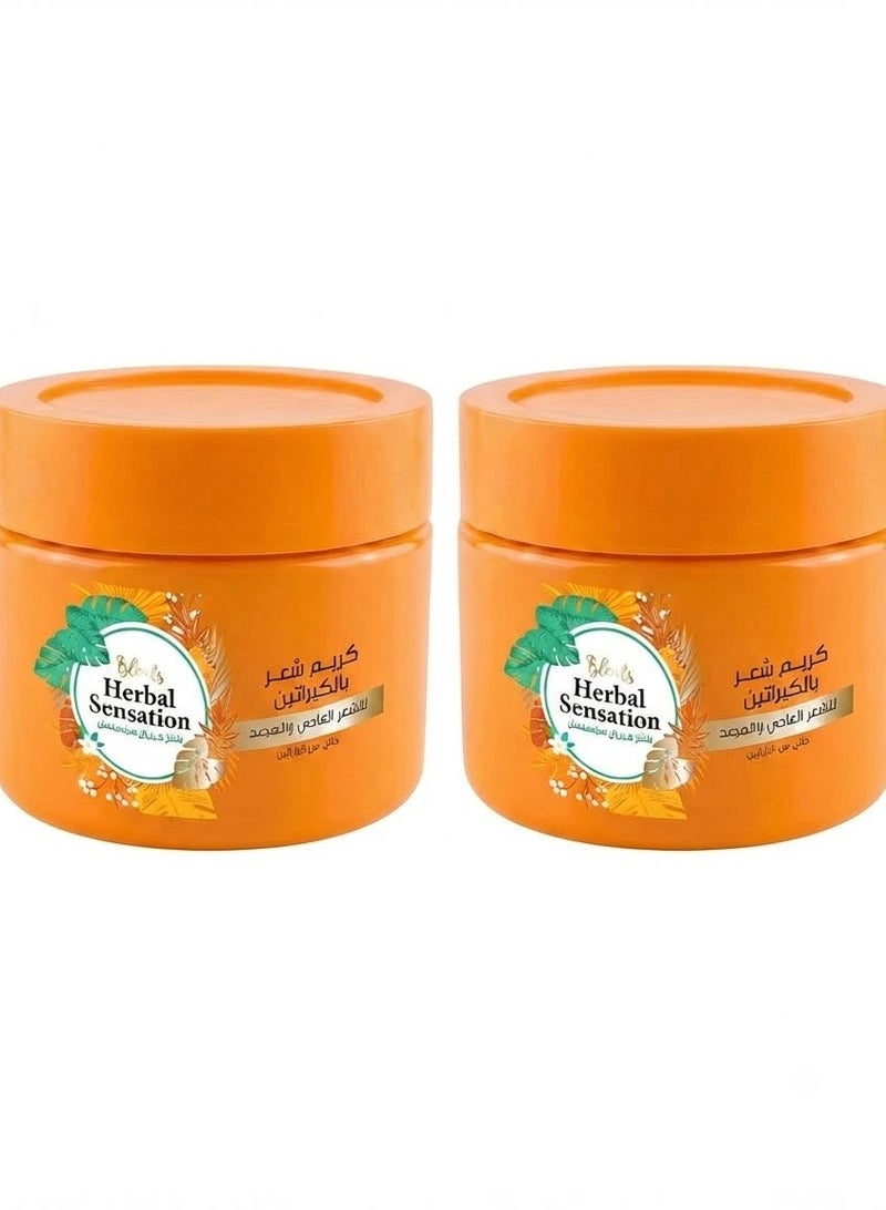 Blends Herbal Sensation Keratin Hair Cream - 180ml (Pack of 2) - Image 1