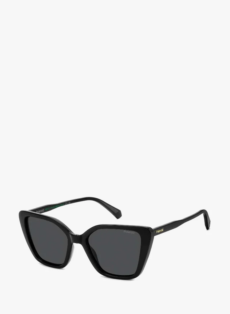 Polaroid  Butterfly Sunglasses for Women | Best Price UAE