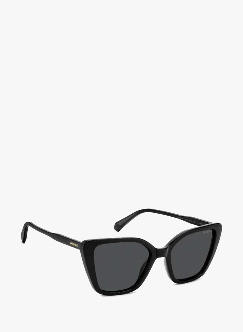 Polaroid  Butterfly Sunglasses for Women | Best Price UAE