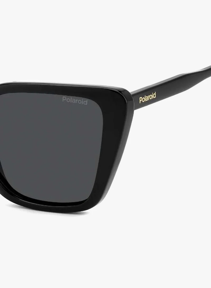 Polaroid  Butterfly Sunglasses for Women | Best Price UAE