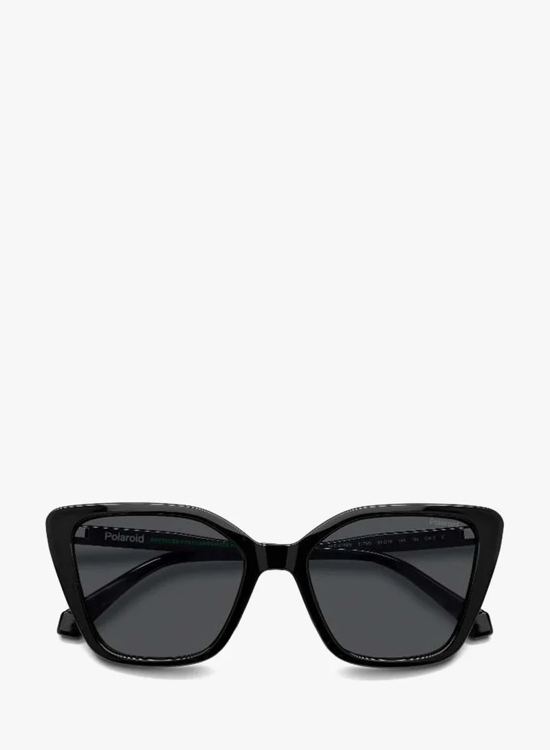 Polaroid  Butterfly Sunglasses for Women | Best Price UAE