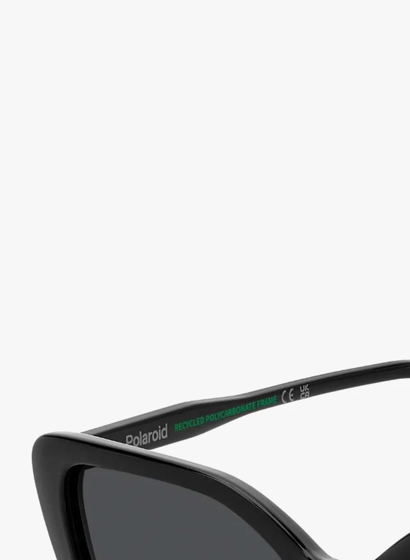 Polaroid  Butterfly Sunglasses for Women | Best Price UAE