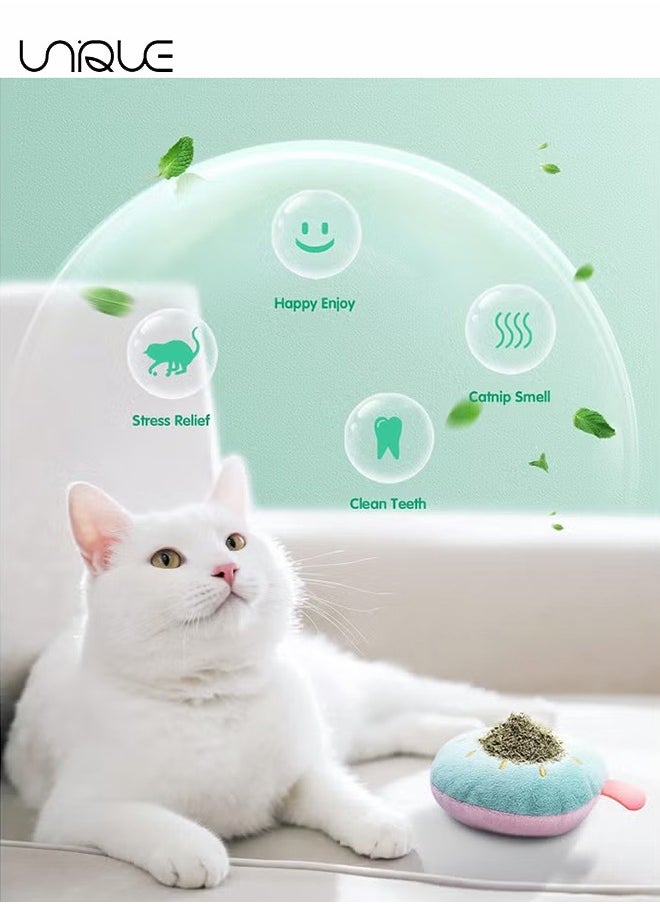 Cat Catnip Toys, 6 Pcs Fruit Type Cat Chew Toy with Catnip, Soft&Cute Plush Cat Toys for Indoor Cats to Playing Chewing Teeth Cleaning Cat Interactive Toys