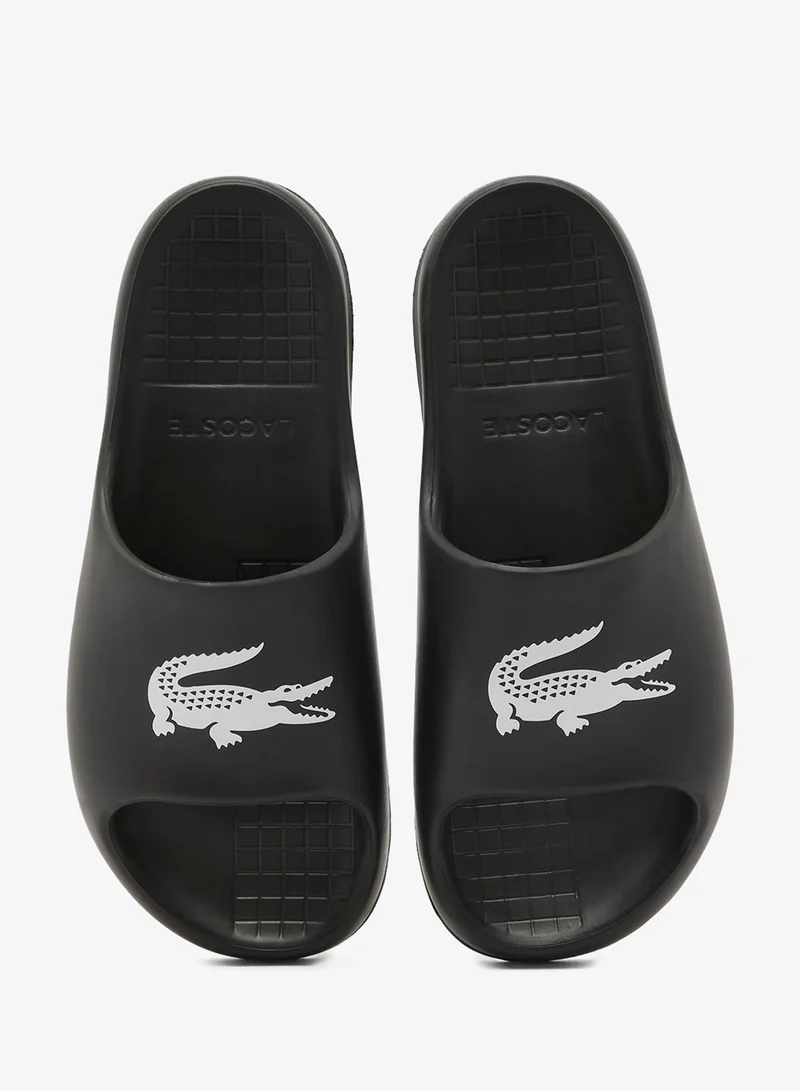 لاكوست شباشب تقديم كاجوال