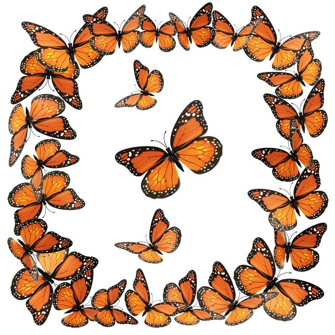 MONARCH BUTTERFLY DECORATION HALLOWEEN FAKE BUTTERFLIES ARTIFICIAL 3D MONARCH BUTTERFLY WALL DECOR FOR CHRISTMAS DAY OF THE DEAD PARTY FAVORS 48 PIECES 299 INCH