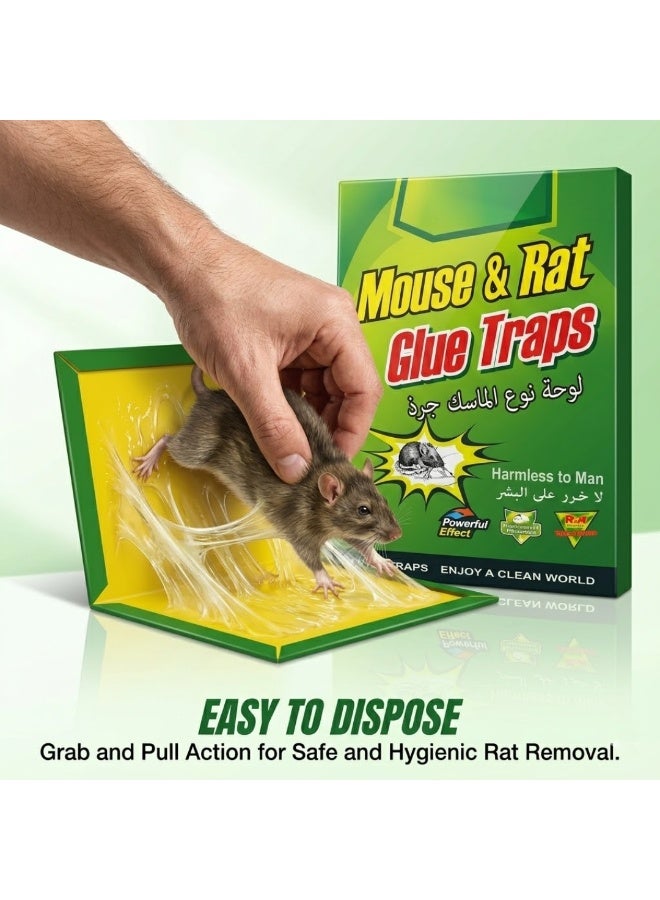 Mouse & Rat Glue Board Traps – Heavy Duty Sticky Mouse Trap Boards for Home, Kitchen, Warehouse & Office | Non-Toxic Rat Catcher Glue Pads | Powerful Pest Control Adhesive Trap for Rats, Mice & Small Rodents - Image 2