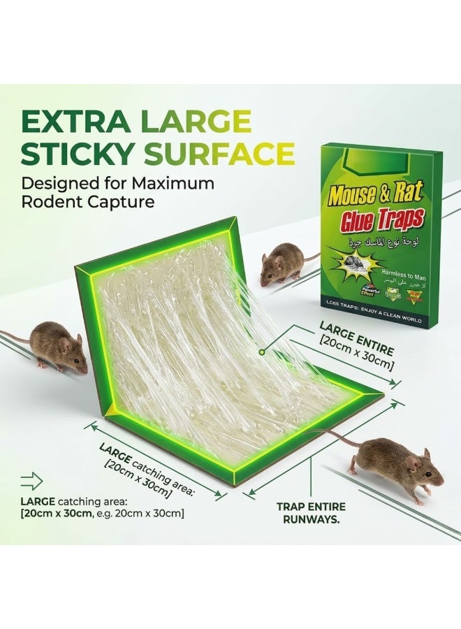 Mouse & Rat Glue Board Traps – Heavy Duty Sticky Mouse Trap Boards for Home, Kitchen, Warehouse & Office | Non-Toxic Rat Catcher Glue Pads | Powerful Pest Control Adhesive Trap for Rats, Mice & Small Rodents - Image 4