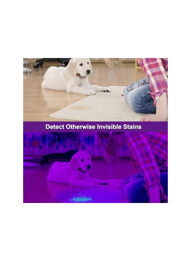 PROMASS UV Flashlight 12UV Light Ultraviolet LED Flashlight Pet Urine Detector Mini Flashlights For Dog/Cat Urine,Dry Stains,Bed Bug (AA Batteries Not Included)  - Image 5