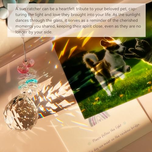 AMETHUARTZ Dog Memorial Suncatcher, Loss of Dog Sympathy Gift, Thoughtful Pet Remembrance Bereavement Gifts - Image 3