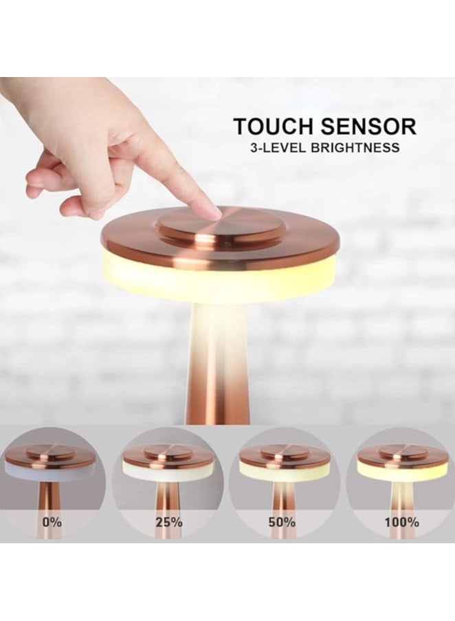 ZO7 LED Table Lamp, Rose Gold, Iron Acrylic, 23.5cm Height, Touch Control, 3 Color Temperatures, Rechargeable Battery, Cordless Desk Light - Image 2