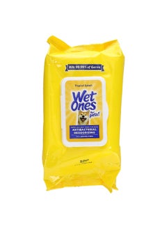 Wet Ones Wet Ones, Antibacterial Deodorizing Wipes with Baking Soda, For Dogs, Tropical Splash, 100 Wipes  - Image 1