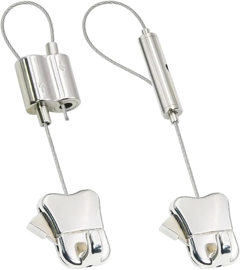 Stainless Steel Picture Hangers 4pcs Adjustable Cable Rope For Photo Mirror Painting Art Type B 2M - Image 1