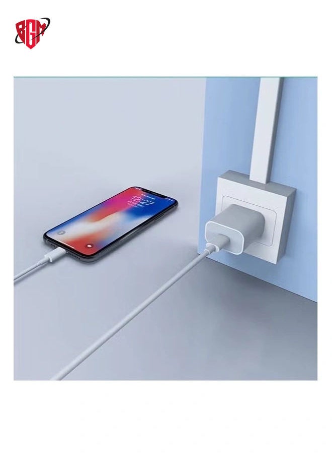 BGM - 20W Original Phone Fast Charger With Cable For Apple iPhone - Image 1
