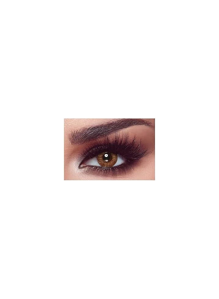 One day almond brown Plano contact lens 10pcs