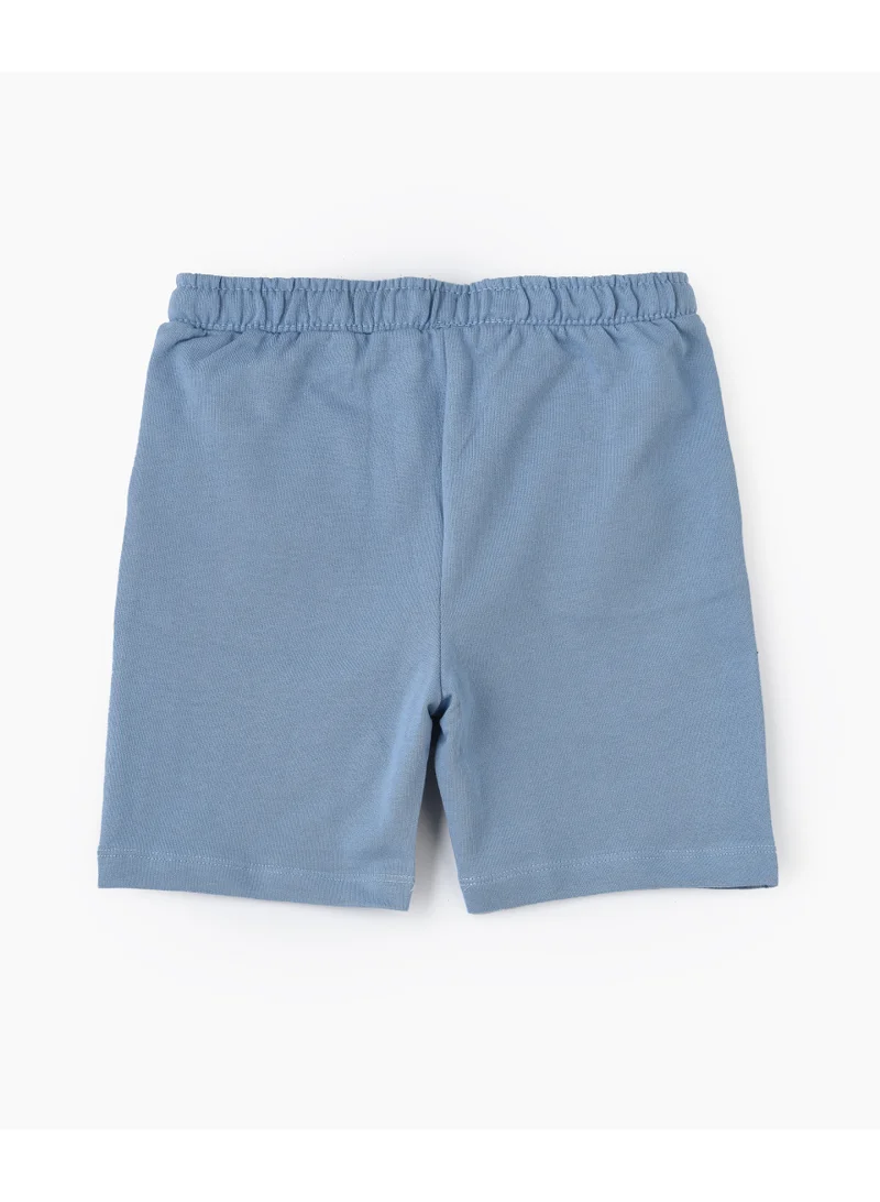 Disney  Lilo and Stitch Graphic Print Boys Shorts for Men | Best Price UAE