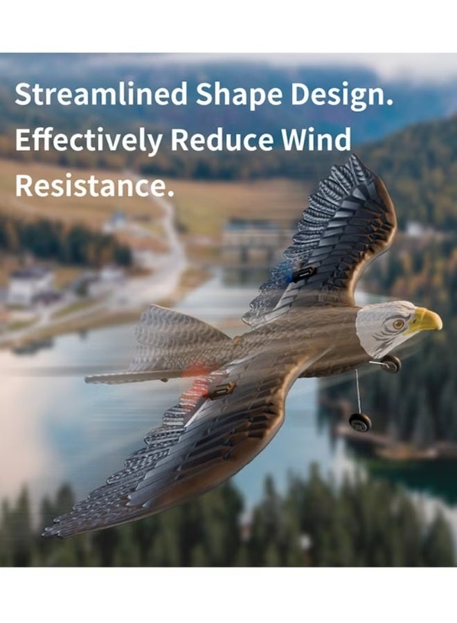 TOY GARDEN RC Glider Eagle Plane Toy for Kids – Remote Control Foam Aircraft with Wings – Electric Flying Toy for Boys and Girls – Indoor Outdoor Aviation Fun - Image 5