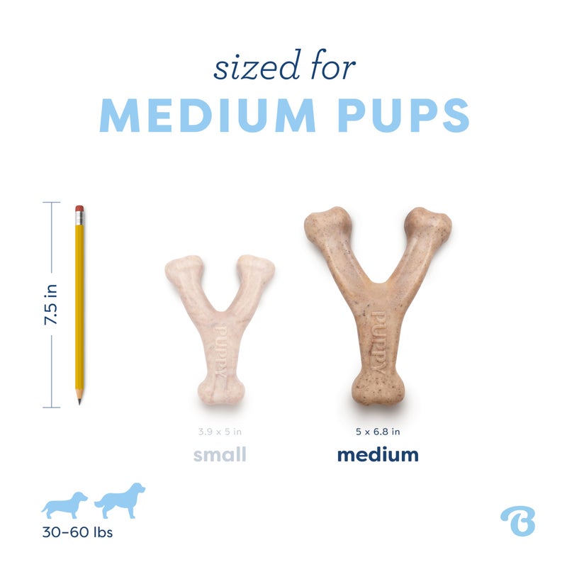 Benebone Puppy Wishbone Durable Dog Chew Toy for Gentle Chewers, Real Bacon, Made in USA, Medium - Image 4