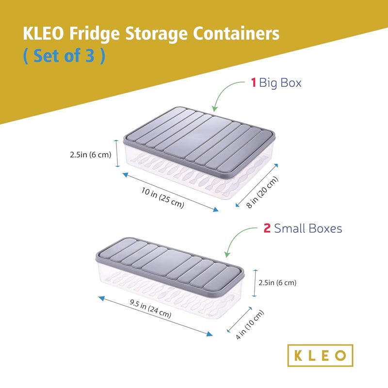 KLEO Fridge Storage Containers with Lid Set of 3 Fridge organizer Freezer Storage for Food Leftovers Vegetables Fruits Airtight Container to Keep Food Fresh Transparent Plastic - Image 3