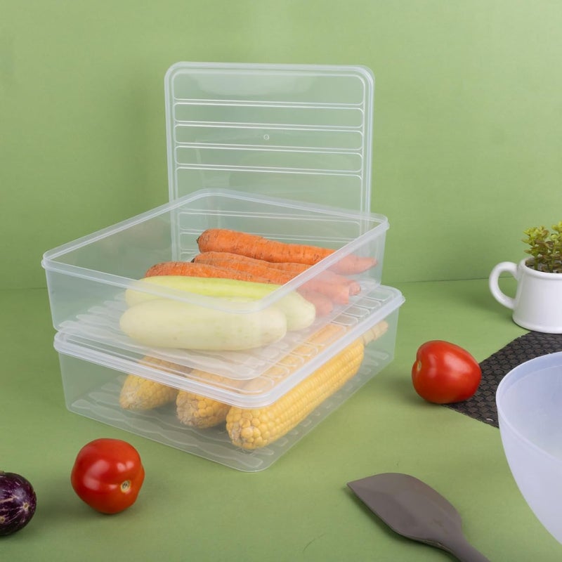 KLEO Fridge Storage Containers with Lid Set of 3 Fridge organizer Freezer Storage for Food Leftovers Vegetables Fruits Airtight Container to Keep Food Fresh Transparent Plastic - Image 5