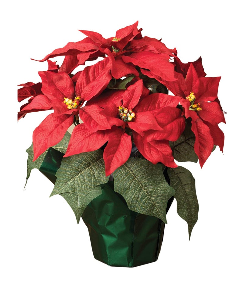 TenWaterloo نبات بونستيا الحمراء الاصطناعية في وعاء 15 من تين ووترلو مع 7 زهور