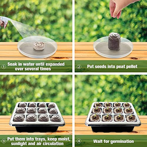 Halatool 4 Pack Seed Starter Tray with 50 PCS Peat Pellets, 48 Cells Black Seeding Starter Trays for Organic Seed Starter Soil Pods for Planting Vegetables Plants Flowers - Starting Seeds Kit - Image 4