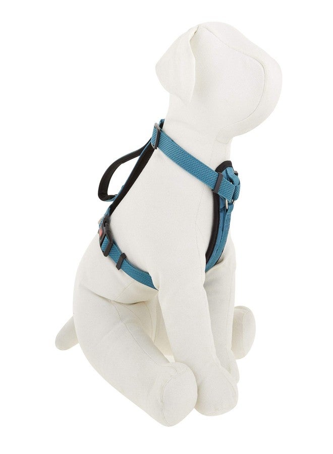KONG Comfort Padded Harness Blue Small - Image 3