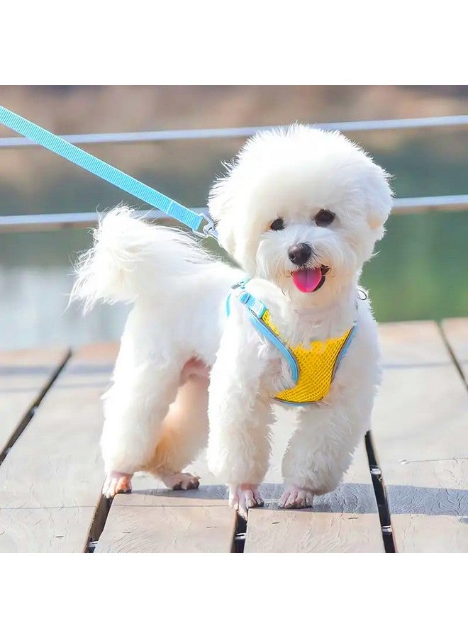 Padded Harness For Small Puppy/Kitten/Cat Vest Harnesses Cat/Dog Training Collar Adjustable Soft Mesh Comfort Padded Vest Harness For Small Dogs, Cat, Puppies 10 Mm Nylon Leash - Color As Vary - Image 1