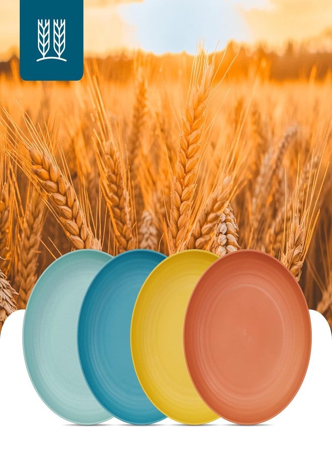 Luckore 9 inch Deep Dinner Plates Set of 12 Wheat Straw Plates, Unbreakable Dinner Dishes Alternative for Plastic Microwave and Dishwasher Safe for Kitchen with 4 Colors Classic Bright - Image 4