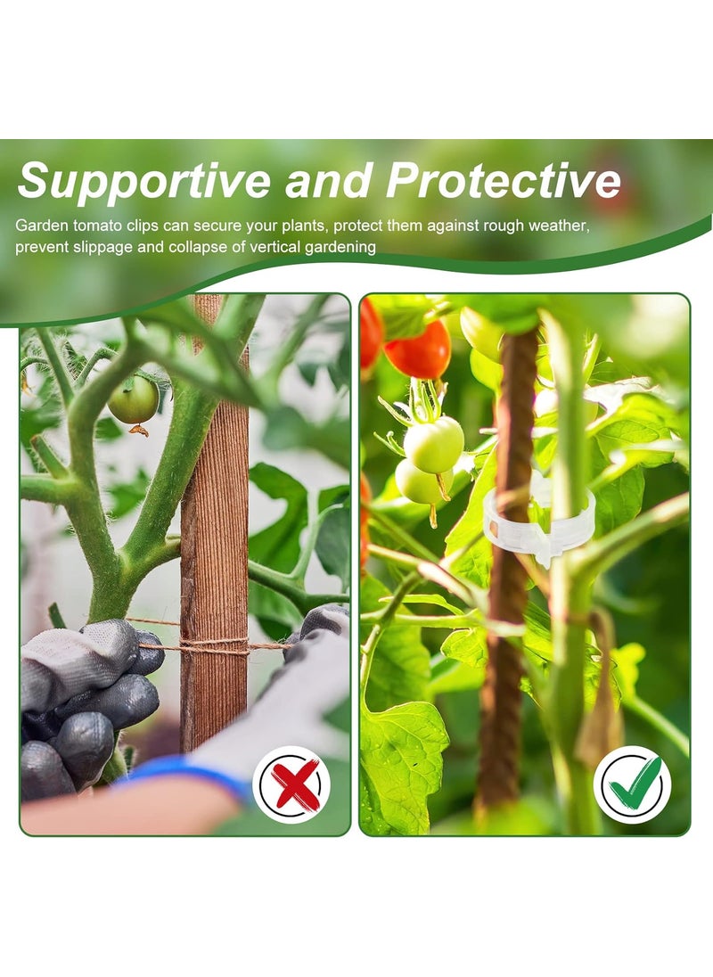 Qunclay Qunclay 1500 Pieces Tomato Clips Garden Clips Tomato Clips for String Trellis Plant Clips Tomato Plant Support Plant Clips for Climbing Plants Plastic Garden Plant Support Clips 1 Inner Diameter  - Image 3
