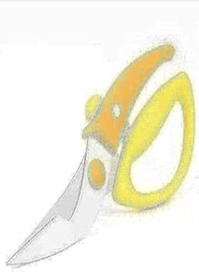 Spaceshoop Kitchen Safety Lock Scissors