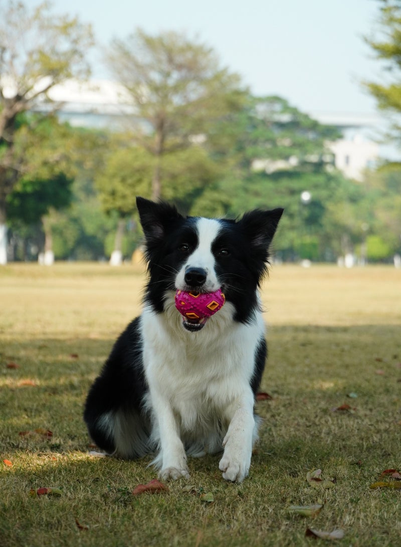 GULFLINK Non Toxic Natural Rubber Toy For Dogs Purple - Image 4