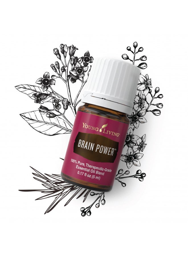 Young Living Brain Power Essential Oil 5 ml - Nourish Your Mental Edge , Elevate Cognitive Wellness , Clarity and Stability Blend for Focus and Study , Cedarwood, Frankincense, Lavender, Melissa Aroma - pzsku/Z0540C29952AD0B8407E8Z/45/_/1728157948/89dd4d87-3f23-47b3-ad77-b1235ed3a14b