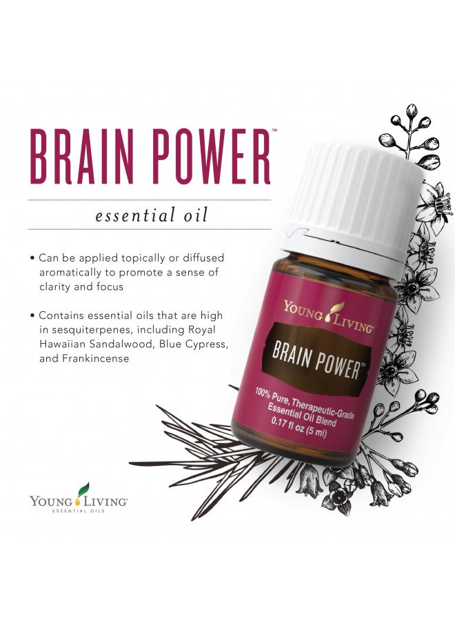 Young Living Brain Power Essential Oil 5 ml - Nourish Your Mental Edge , Elevate Cognitive Wellness , Clarity and Stability Blend for Focus and Study , Cedarwood, Frankincense, Lavender, Melissa Aroma - pzsku/Z0540C29952AD0B8407E8Z/45/_/1728157952/12556199-01d8-4357-abc9-9e7701fb582a