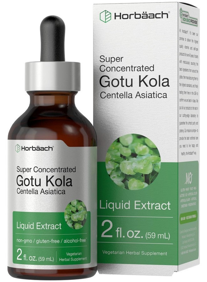 Horbäach Gotu Kola Extract | 2 fl oz | Alcohol Free | Super Concentrated Liquid Herb Supplement | Vegetarian, Non-GMO, Gluten Free - Image 1