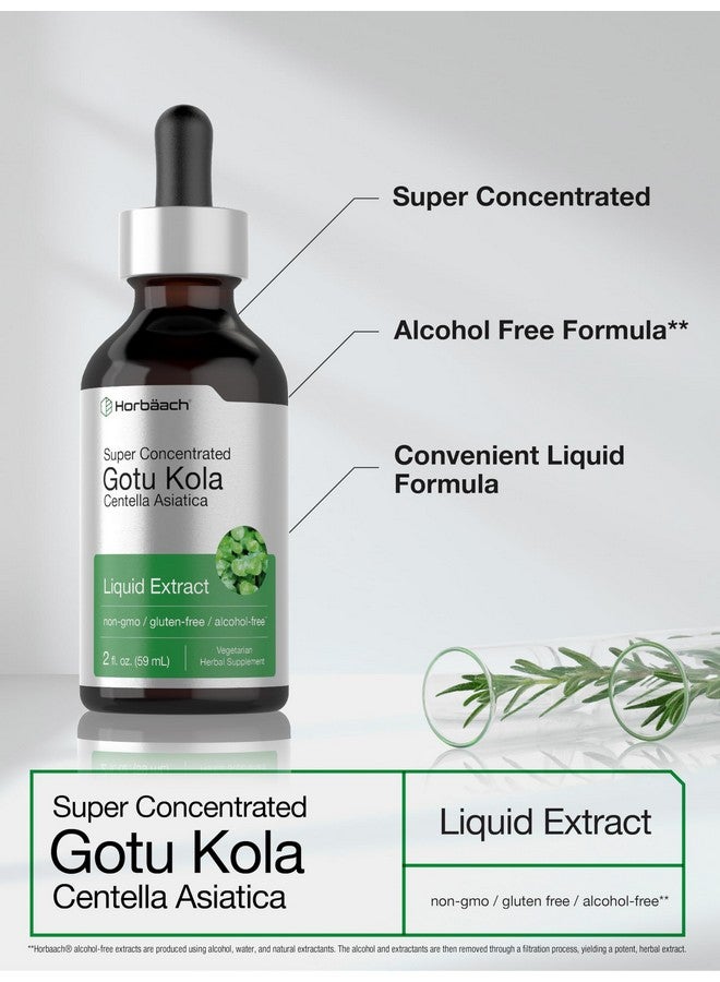 Horbäach Gotu Kola Extract | 2 fl oz | Alcohol Free | Super Concentrated Liquid Herb Supplement | Vegetarian, Non-GMO, Gluten Free - Image 4