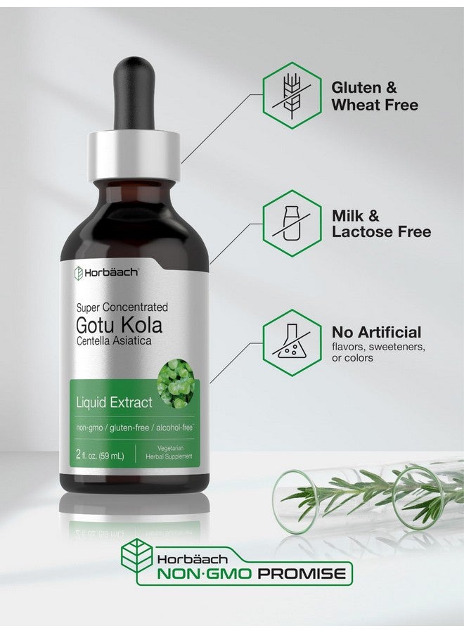 Horbäach Gotu Kola Extract | 2 fl oz | Alcohol Free | Super Concentrated Liquid Herb Supplement | Vegetarian, Non-GMO, Gluten Free - Image 5