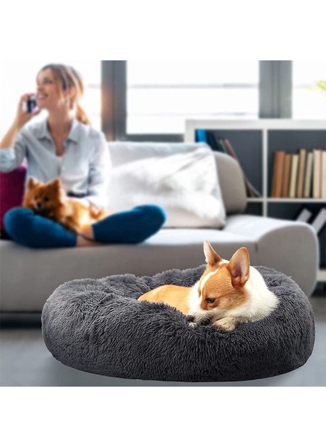 Neostyle Machine Washable Bed for Indoor Pets Dark Grey - pzsku/Z0543AC275E9046BF02A5Z/45/_/1666773085/13e171b0-61cc-491a-9213-dcf497d27c38