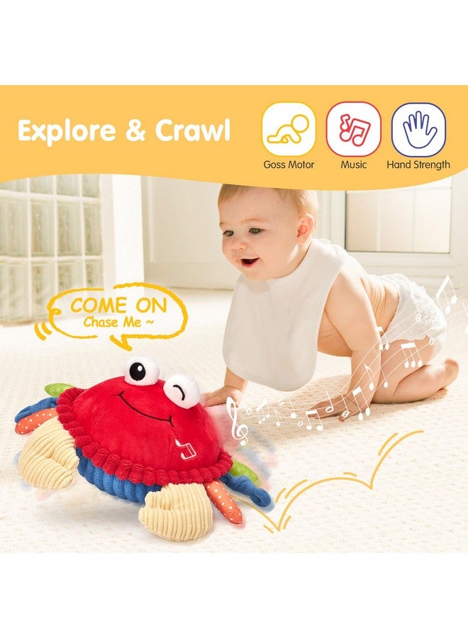 hahaland ألعاب هاهالاند للأطفال من 12-18 شهرًا - لعبة السلطعون الموسيقية المتطورة للحبو والرقص والمشي والحركة والقفز، ألعاب تعليمية للأطفال الصغار لعيد ميلاد الأولاد والبنات من 1-3 سنوات - Image 2