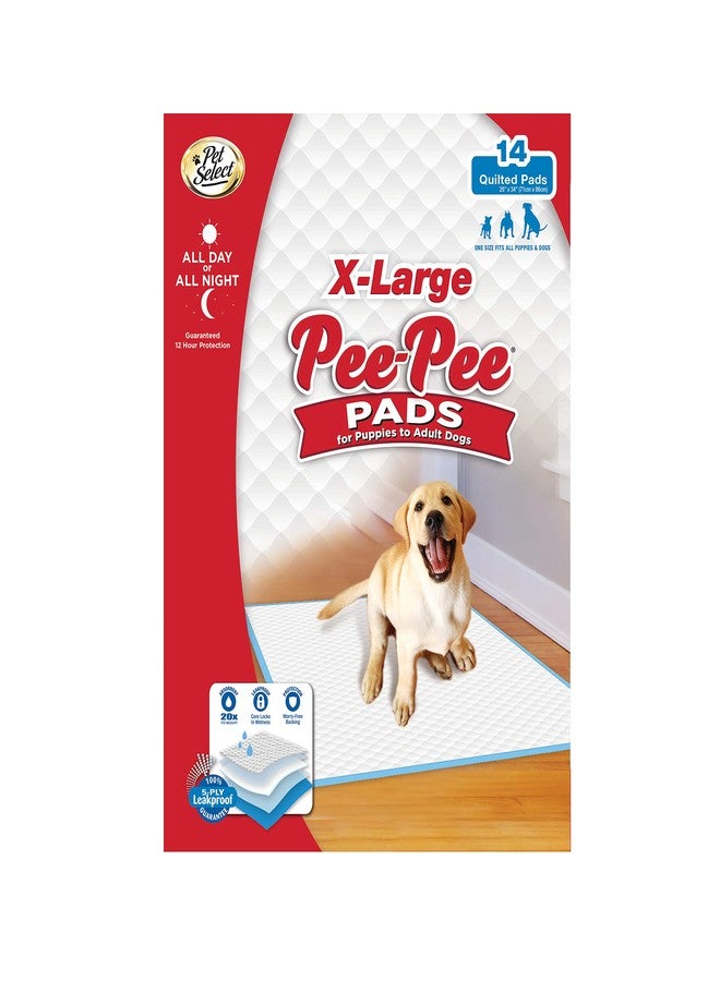 فور باوز فوط تدريب الجراء الكبيرة جدًا من بيت سيليكت بي-بي - Image 1