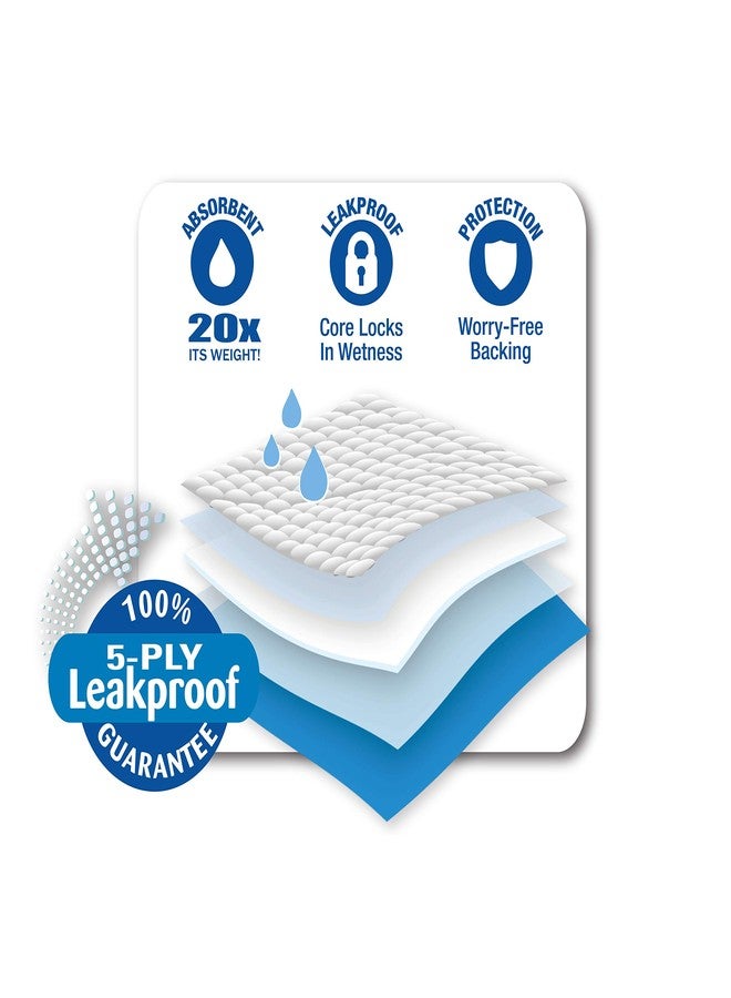 فور باوز فوط تدريب الجراء الكبيرة جدًا من بيت سيليكت بي-بي - Image 2