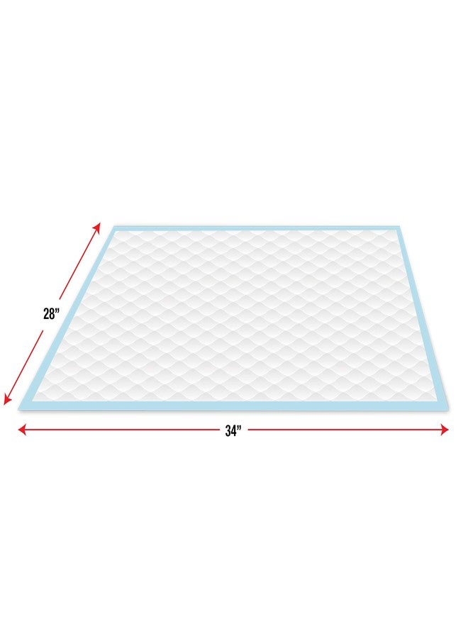 فور باوز فوط تدريب الجراء الكبيرة جدًا من بيت سيليكت بي-بي - Image 4