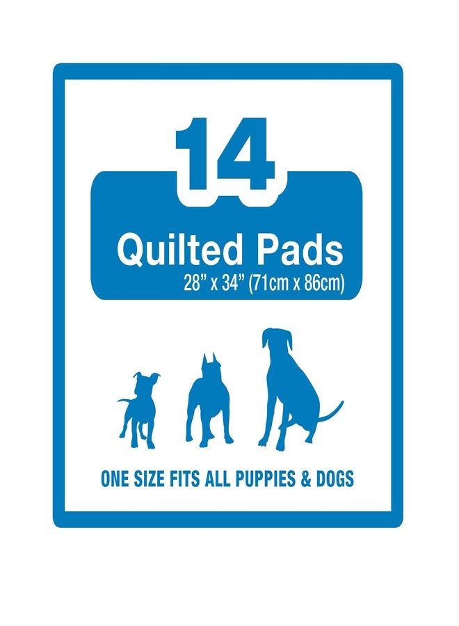 فور باوز فوط تدريب الجراء الكبيرة جدًا من بيت سيليكت بي-بي - Image 3