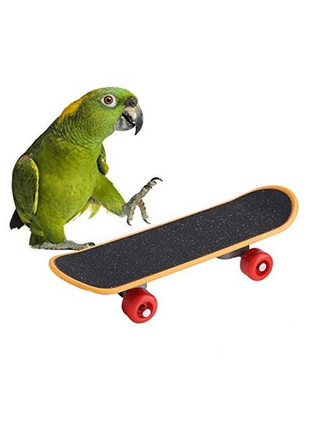 rocooart Parrot Education Toys, Mini Training Skateboards and Bird Training Toys Bird Rings Toys Smart Training Rings Toys Mini Training Skateboards for Small and Medium Parrots Canary Buds Random Colors  - Image 3