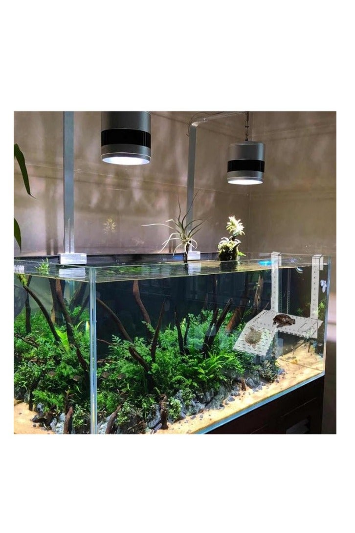 Acrylic Hanging Turtle Ladder 2 Sizes - Image 5