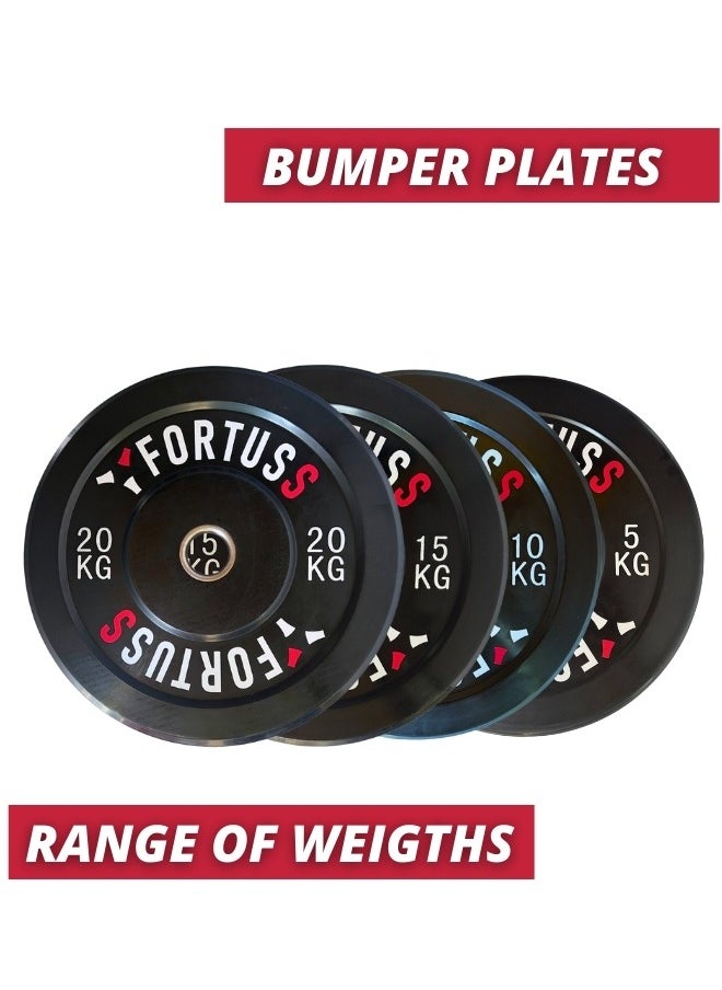 FORTUSS Olympic Bumper Plates 10 Kg - Pair (2 Pcs) | Low Bounce Weight Bumper Plates For Strength Training  - Image 2