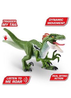 ROBO ALIVE ZURU ROBO ALIVE Dino Action S1 Raptor for Ages 3+  - Image 2