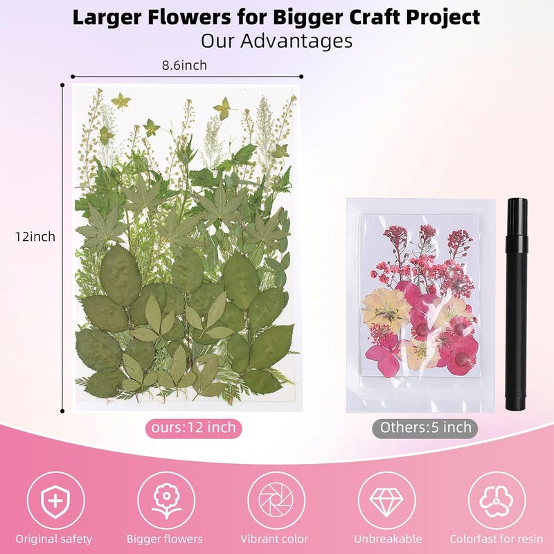 ZMRU 12“ Large Bulk Summer Dried Pressed Flowers for Glass Frame, Real Dry Natural Flower Leaf Daisy for Resin Mold, Cake Decor, Phone Cases (Dried Green Leaves) - Image 2