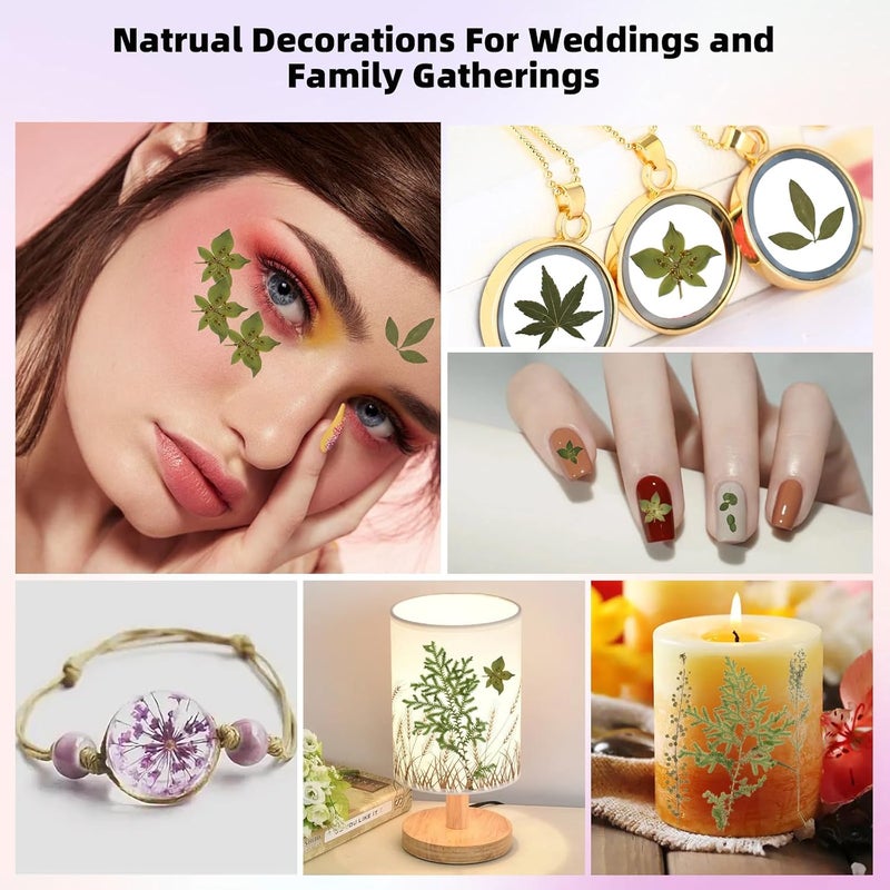 ZMRU 12“ Large Bulk Summer Dried Pressed Flowers for Glass Frame, Real Dry Natural Flower Leaf Daisy for Resin Mold, Cake Decor, Phone Cases (Dried Green Leaves) - Image 5
