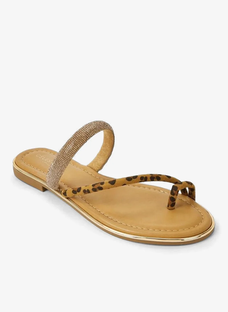 سيليست Women Stone Embellished Flat Sandals